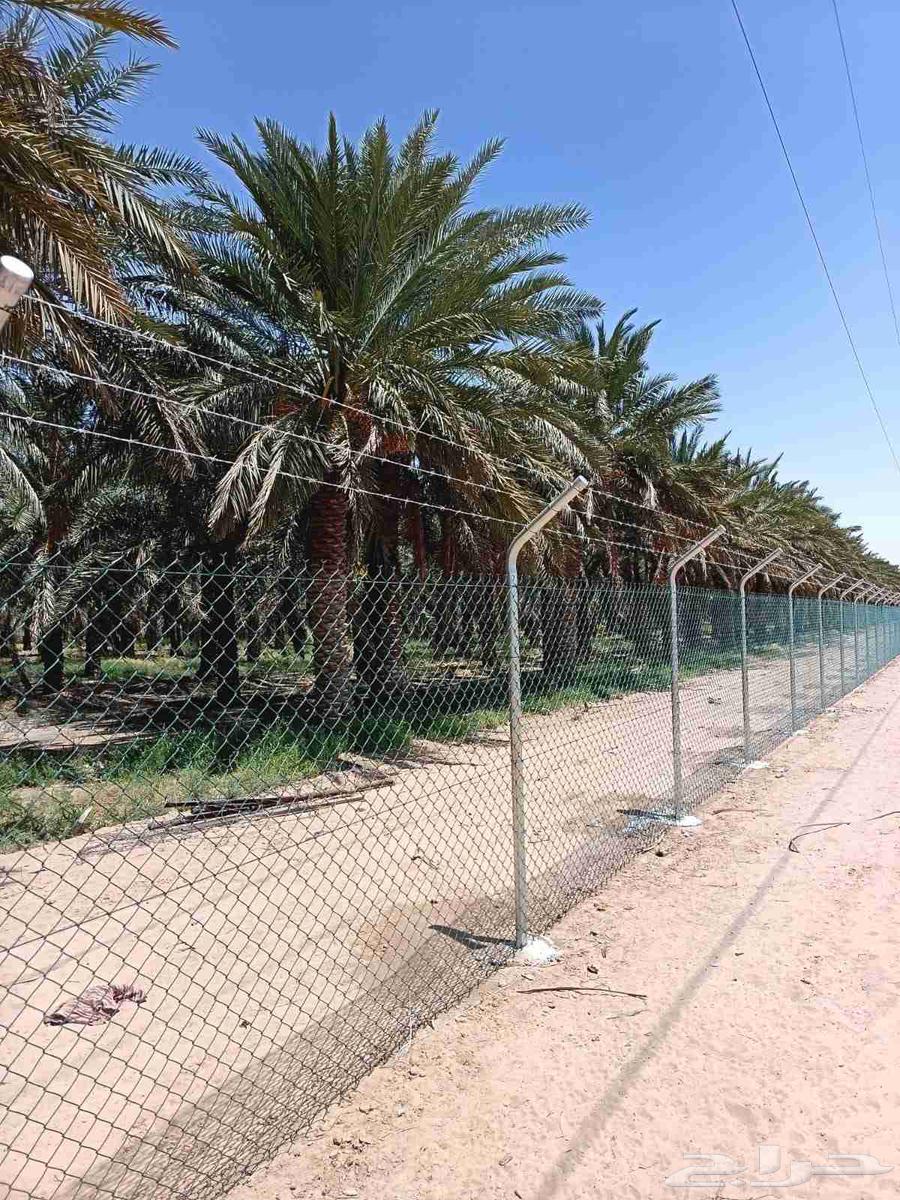 توريد وتركيب جميع انواع الشبوك المجلفنه شبوك مزارع شبوك ملا64403742391939110