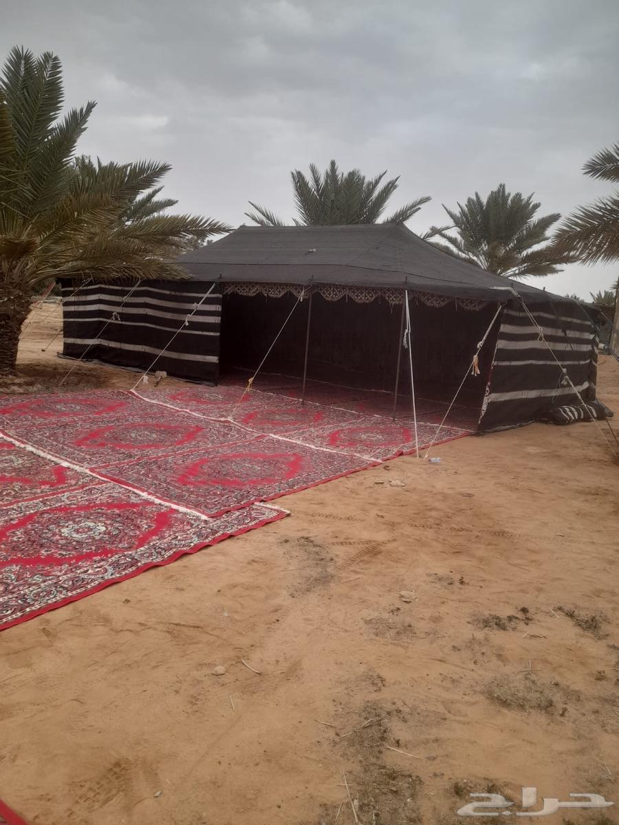 مخيمات بر ومكشات بس عليك حدد المكان وازهل الباقي علينا كل شي64403743375491113