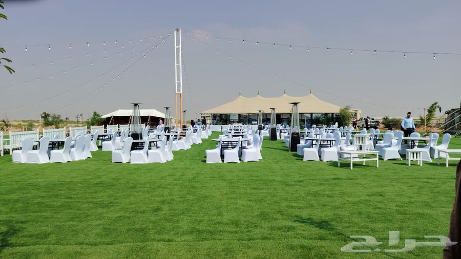 قهوهجين وصبين وصبات نساء64403600546307110