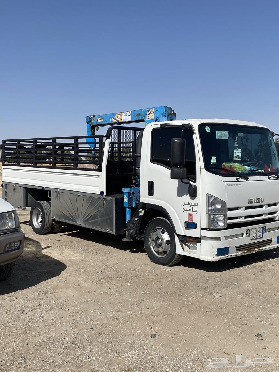 دينه للنقل الابل داخل وخارج تربه64505384345345110