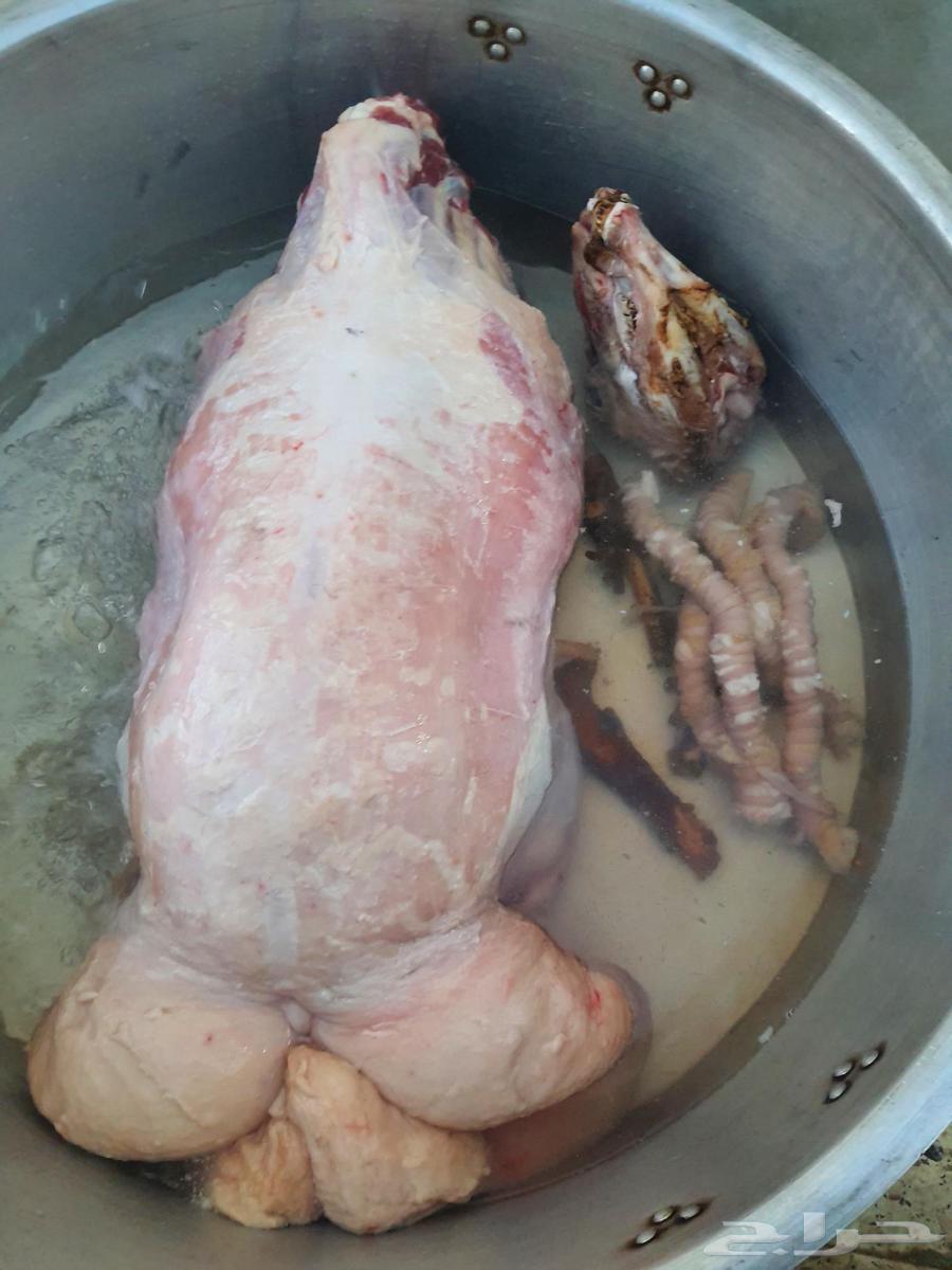 طباخ متنقل64422612299265111