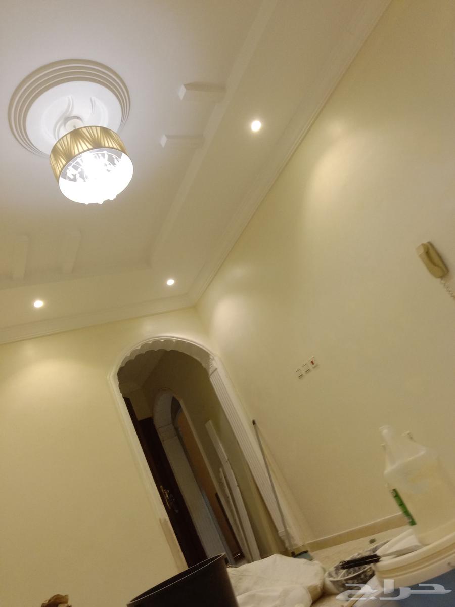 آنا معلم قل دراي و ت جبسم بور  بدل خشب بدل64403696405761110