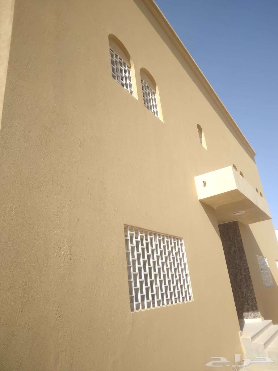 معلم بويا داخلي وخارجي بروفايل رشه64403727879299110