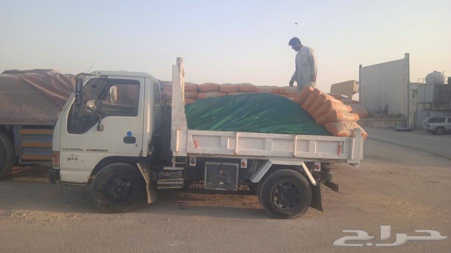 Dina Zezo flipping for all types of trips64403853558273110