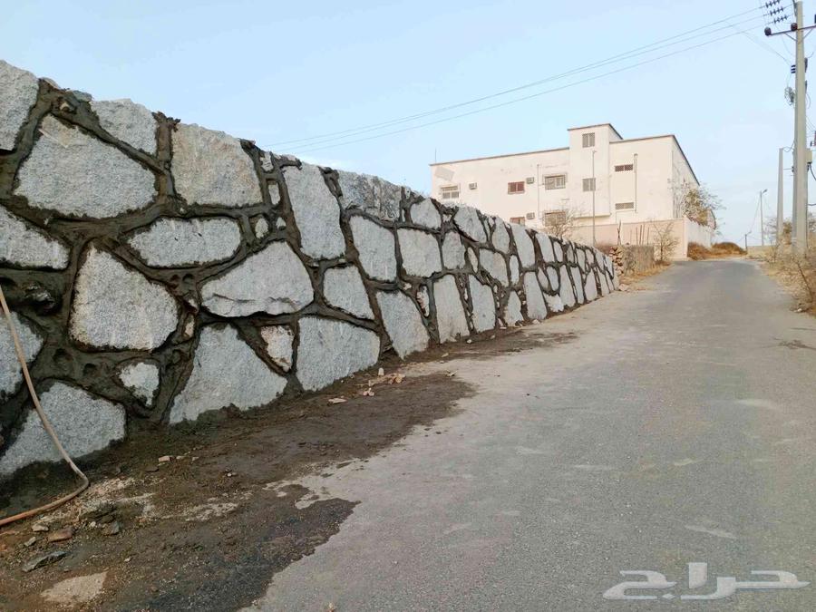 بنا حجر و64403822774275111