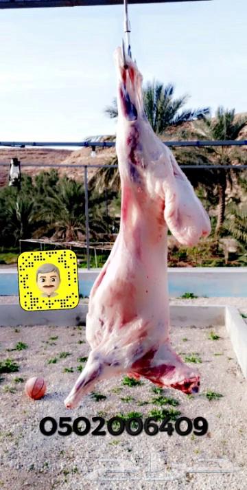 شواء خارجي ومشويات في المنازل والبر64403695739010112