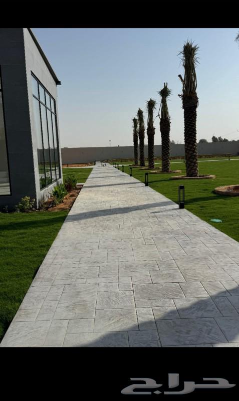 قسم صبات الارضيات. الخراساني المطبوعة صبة مروحة صبة ميزانية64403711554690114