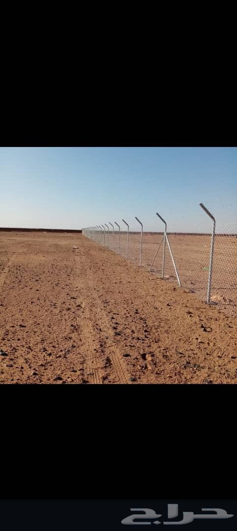 شبوك مزارع الجله المزاحمية64403791562243111