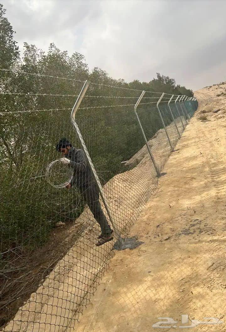 شبوك مزارع الجله المزاحمية64403791562243112