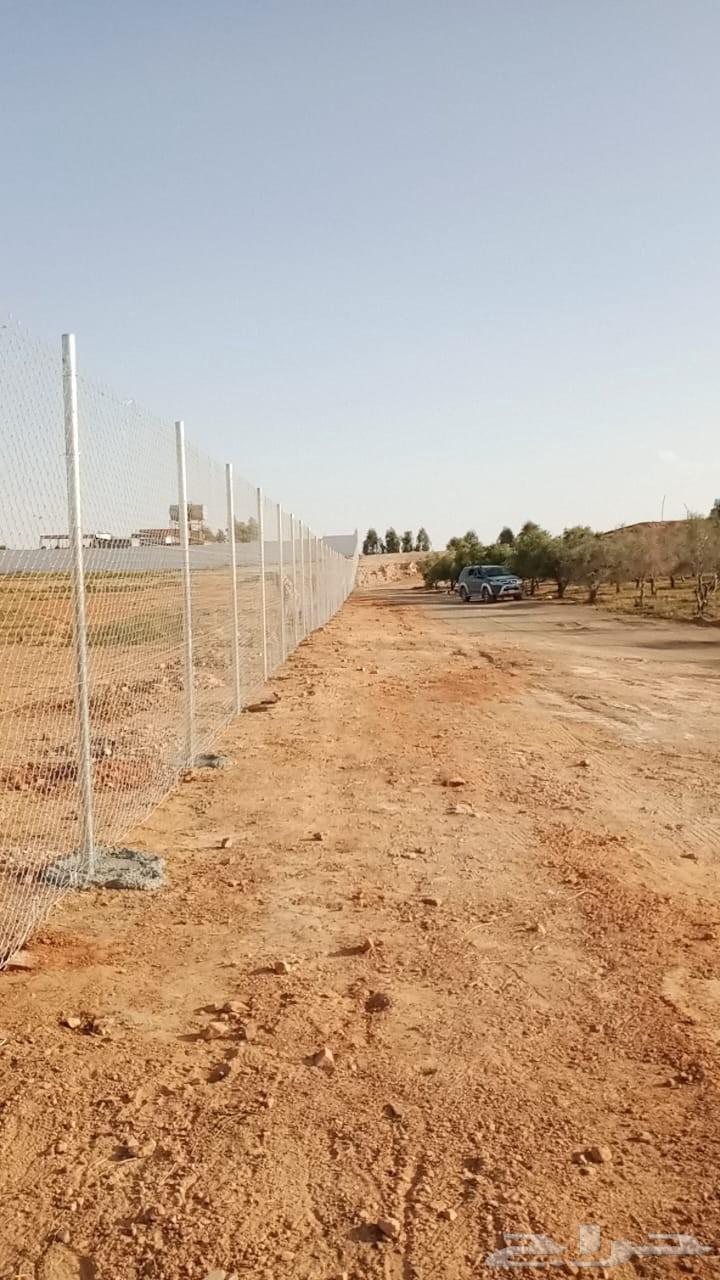 توريد وتركيب جمعه انواع اشبوك تبوك ضبا العموم البدع64403742816898111