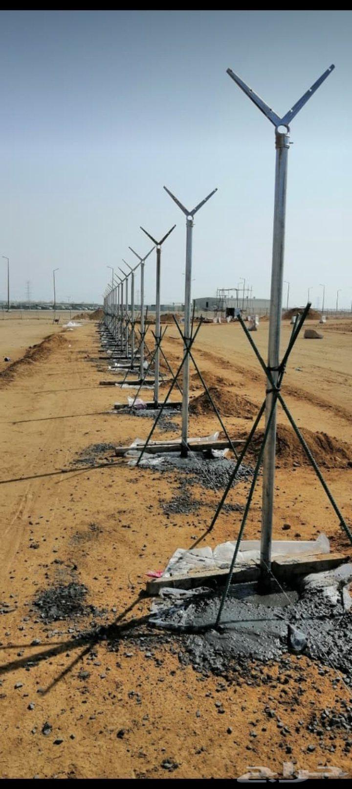 General articles in64403743259394113