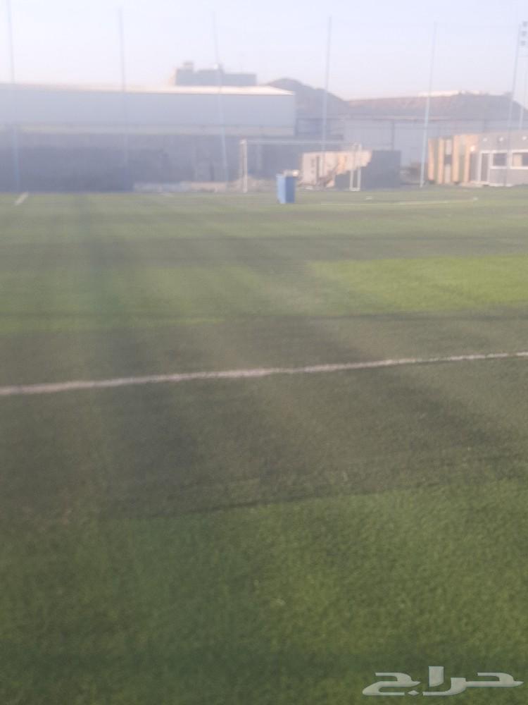 معلم العشب نجيله حدائق صناعي بيت استراحة أرضي تر يبات شعل مل64403822528001111