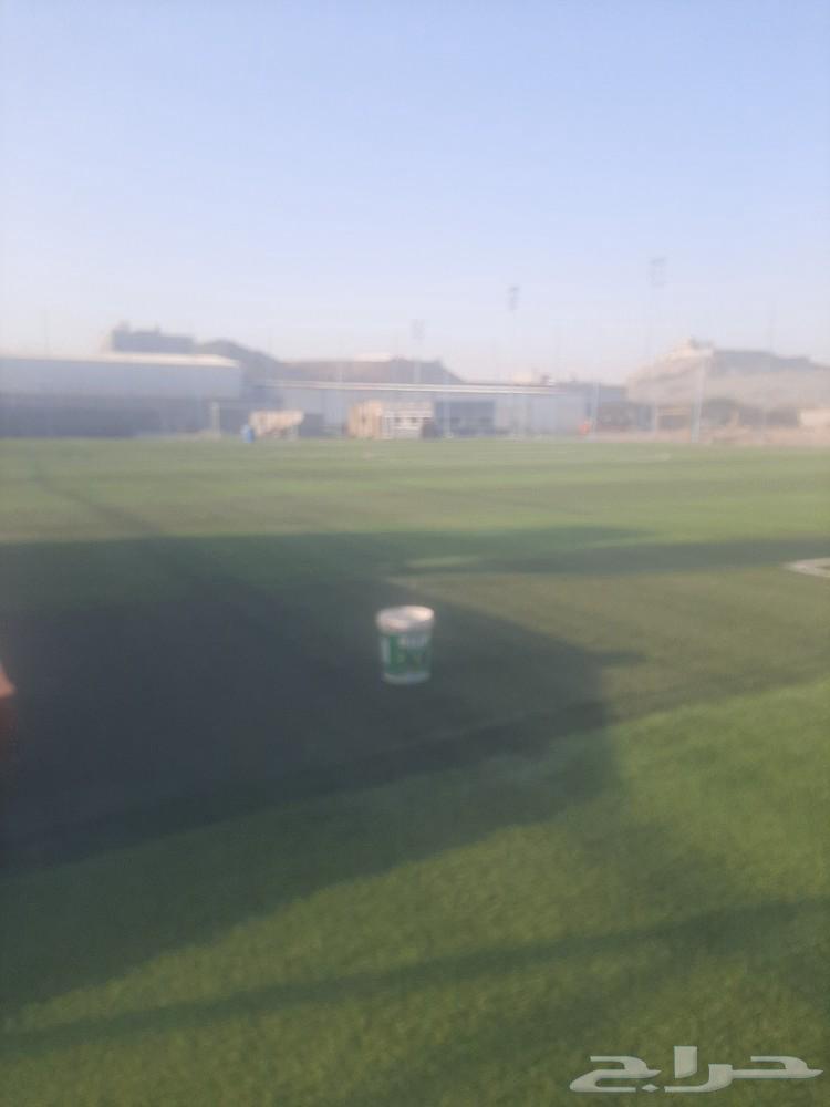 معلم العشب نجيله حدائق صناعي بيت استراحة أرضي تر يبات شعل مل64403822528001114