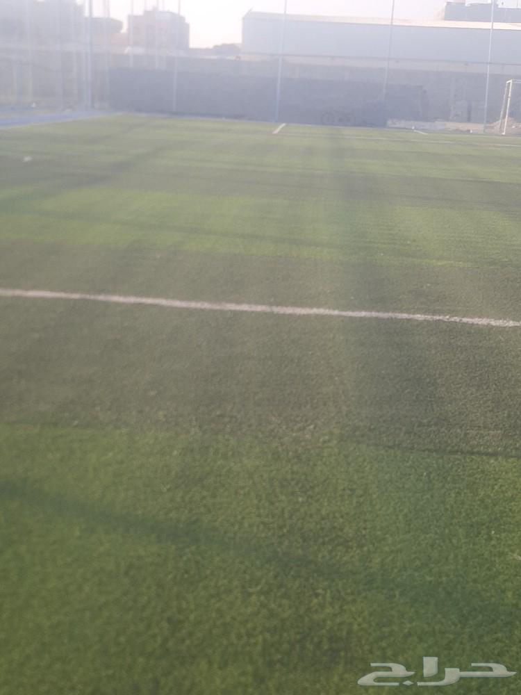 معلم العشب نجيله حدائق صناعي بيت استراحة أرضي تر يبات شعل مل64403822528001112