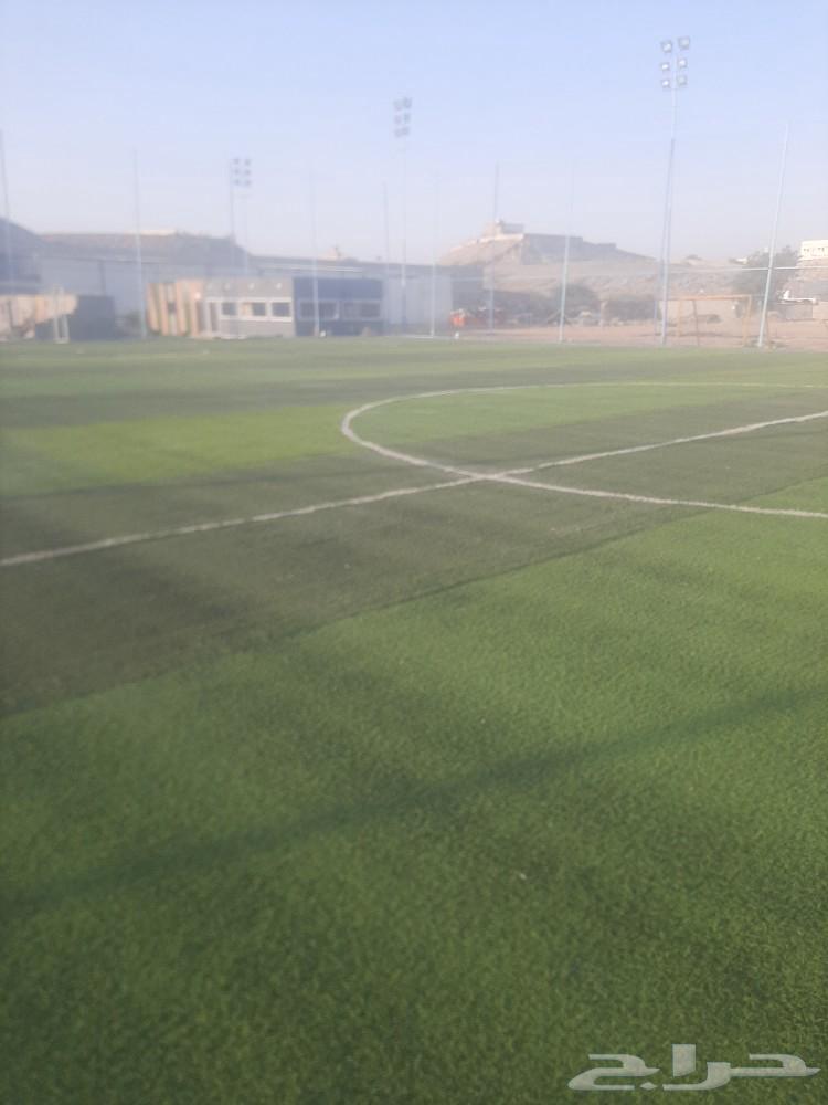 معلم العشب نجيله حدائق صناعي بيت استراحة أرضي تر يبات شعل مل64403822528001110