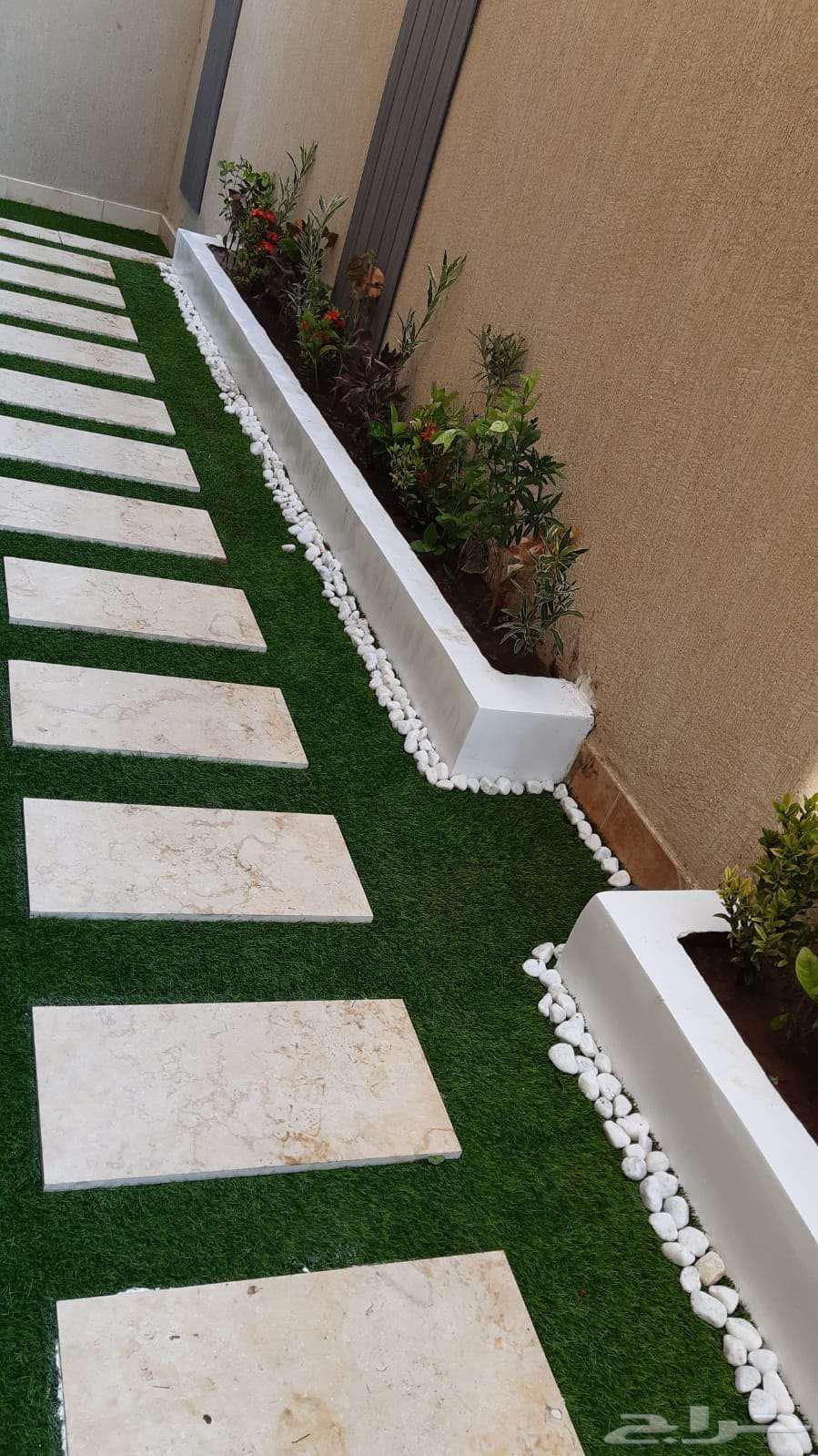 منسق حدائق جدة  ومكة زراعة النقيل الطبيعي  وشبكات الري تقريب64403742098945113