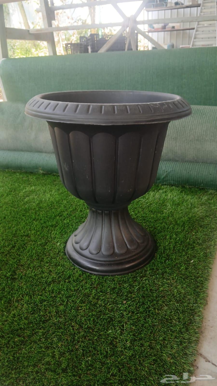 مزارع ومنسق حدائق64403822708481114