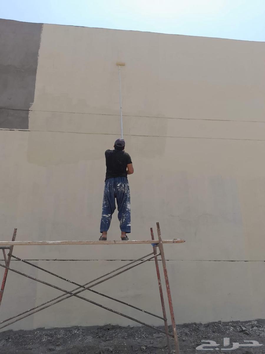 دهانات بويا باكستانى64403728324099113