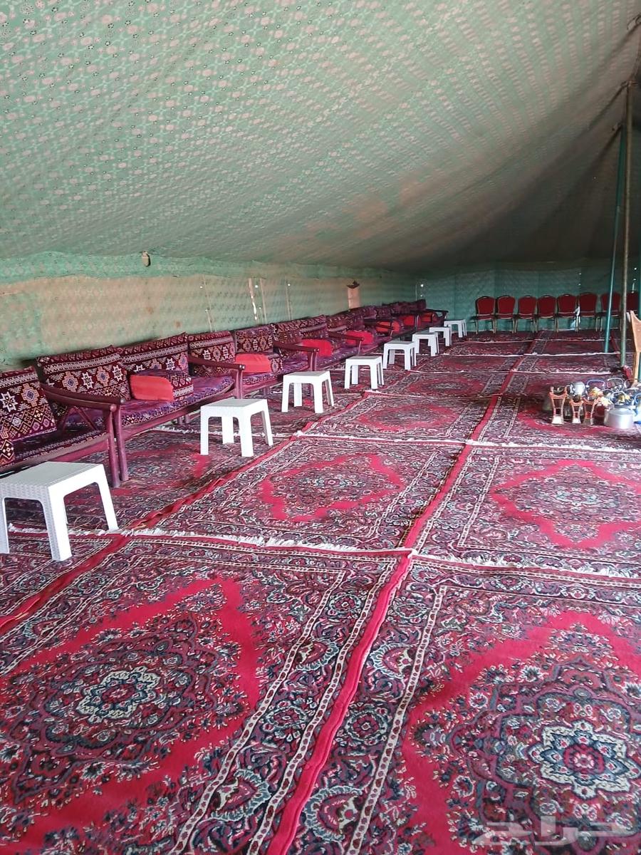 مخيمات بر ومكشات بس عليك حدد المكان وازهل الباقي علينا كل شي64403743375491110