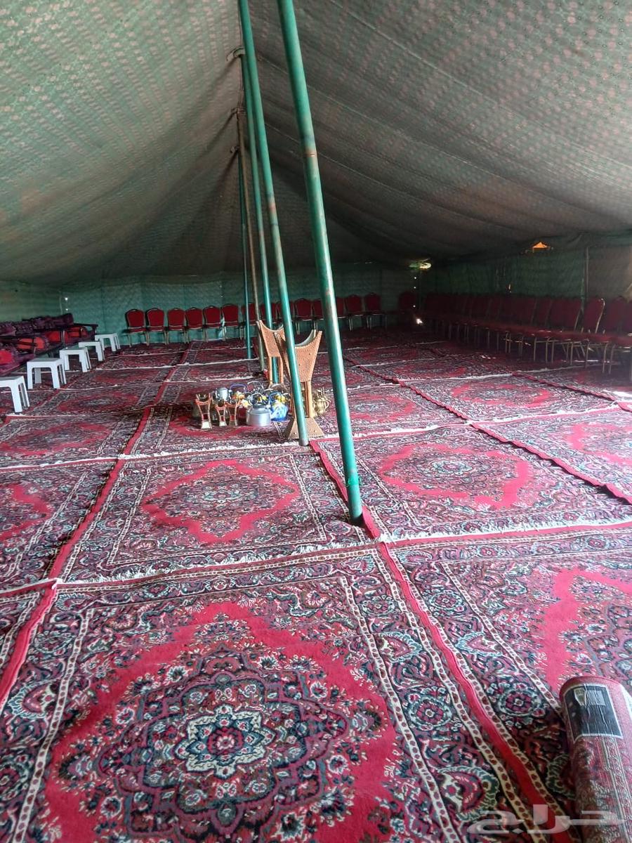 مخيمات بر ومكشات بس عليك حدد المكان وازهل الباقي علينا كل شي64403743375491112