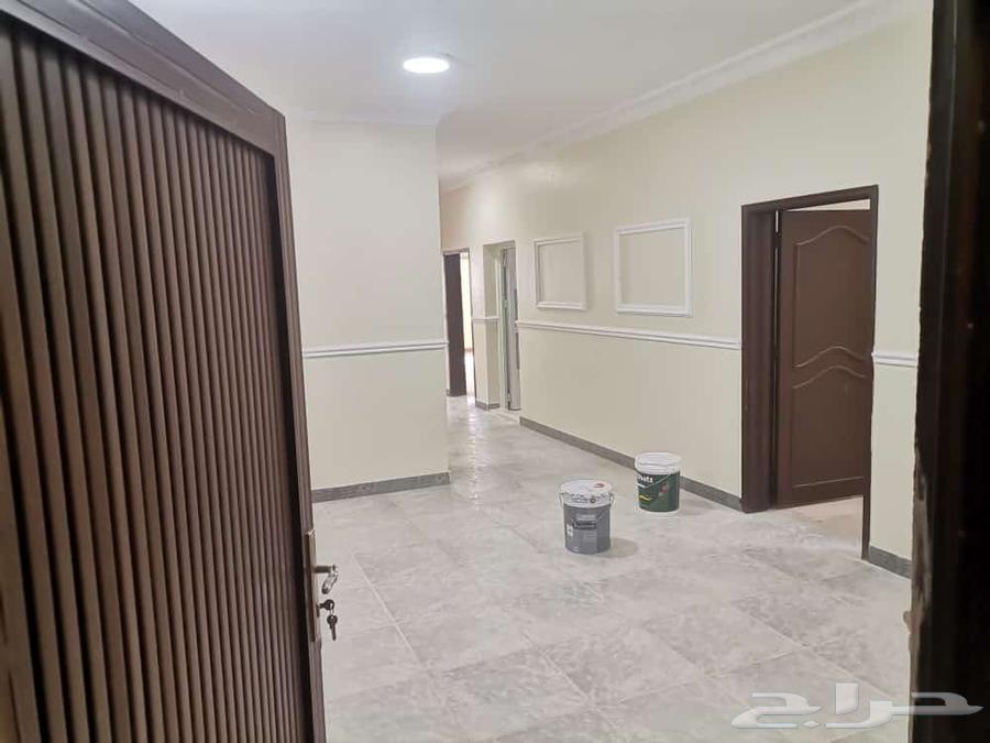 صباغ بويات64422896806146111