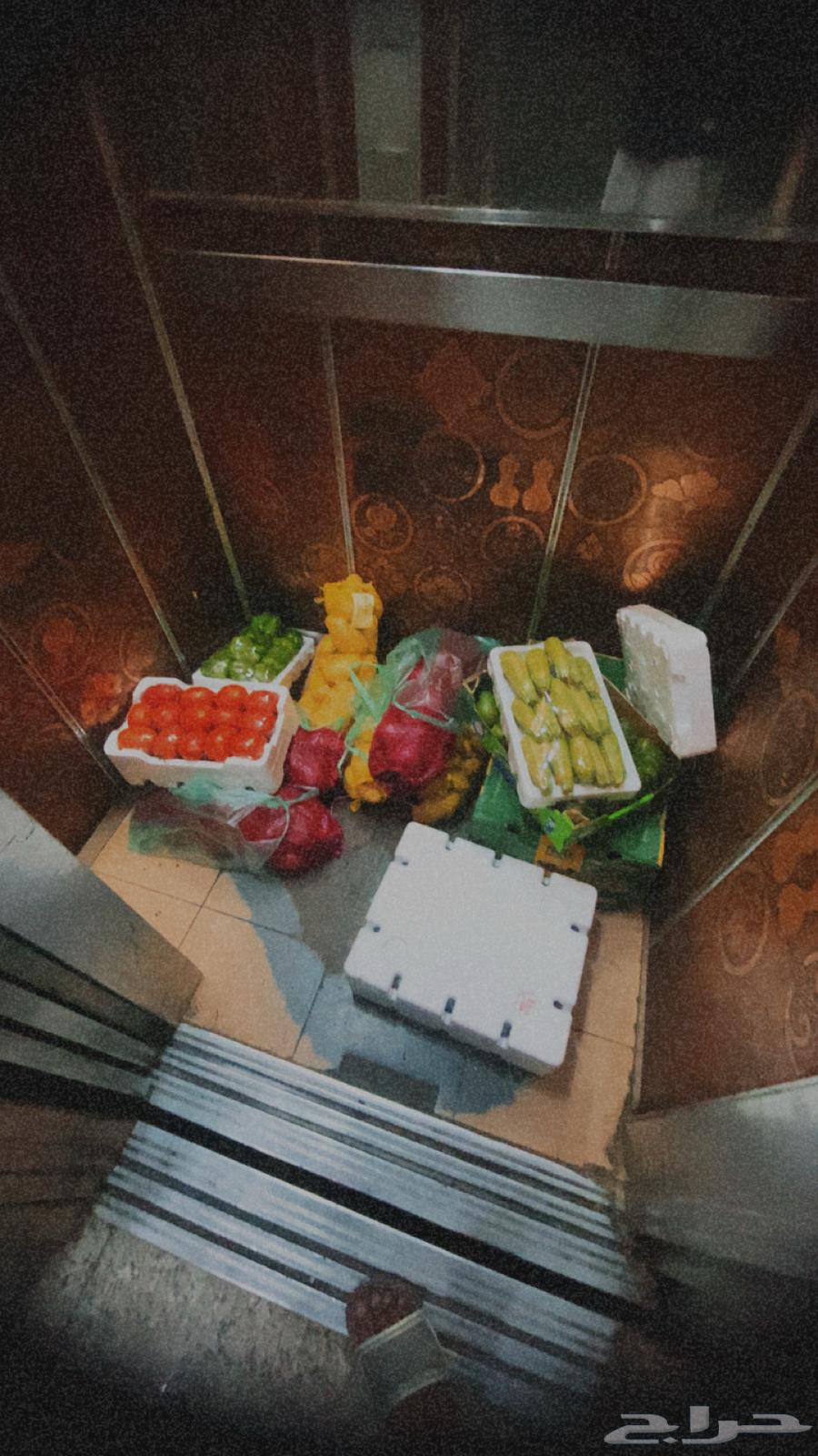 خضروات وفواكه مندوب64403901032449112