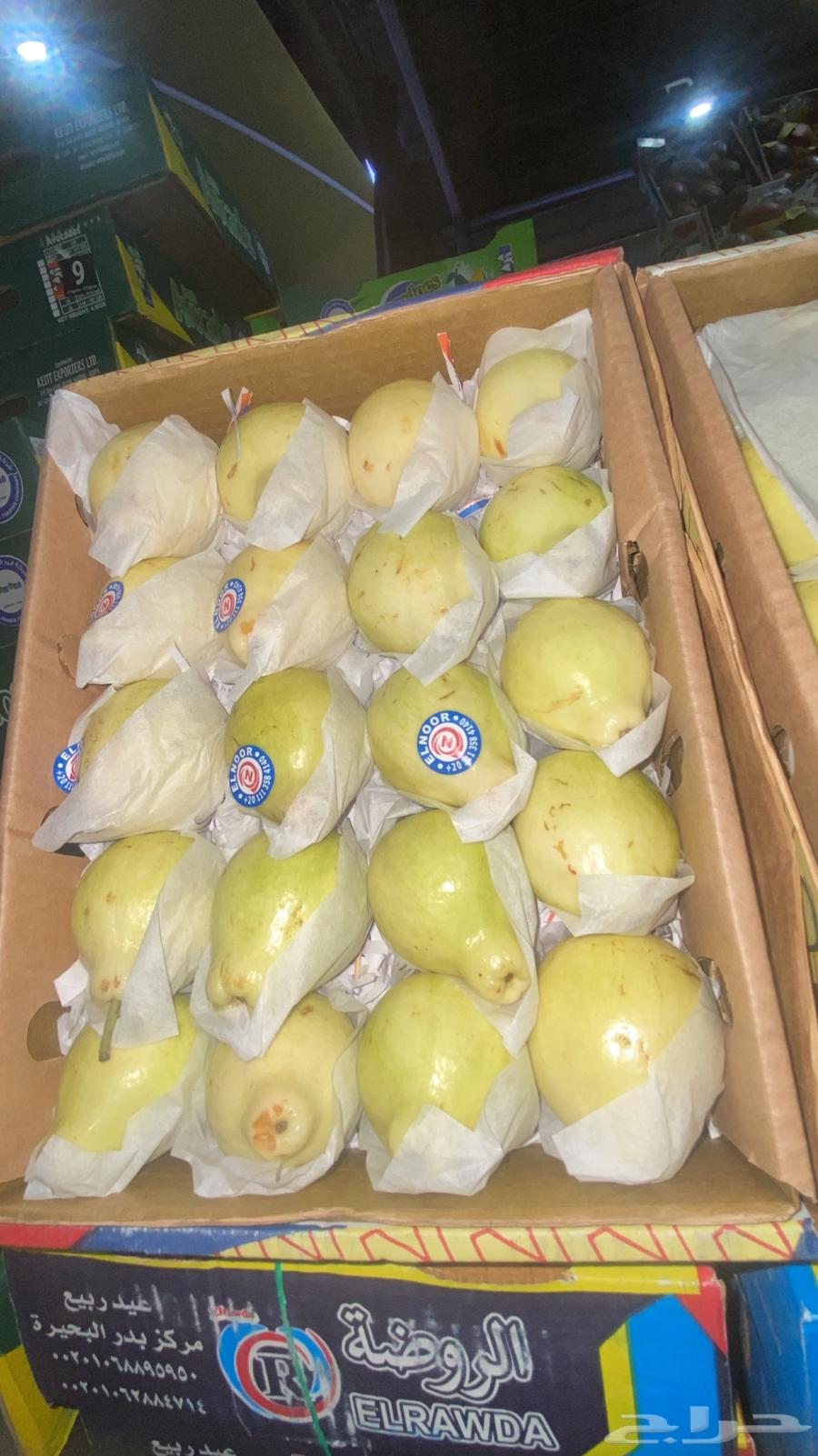 خضروات وفواكه مندوب64403901032449114