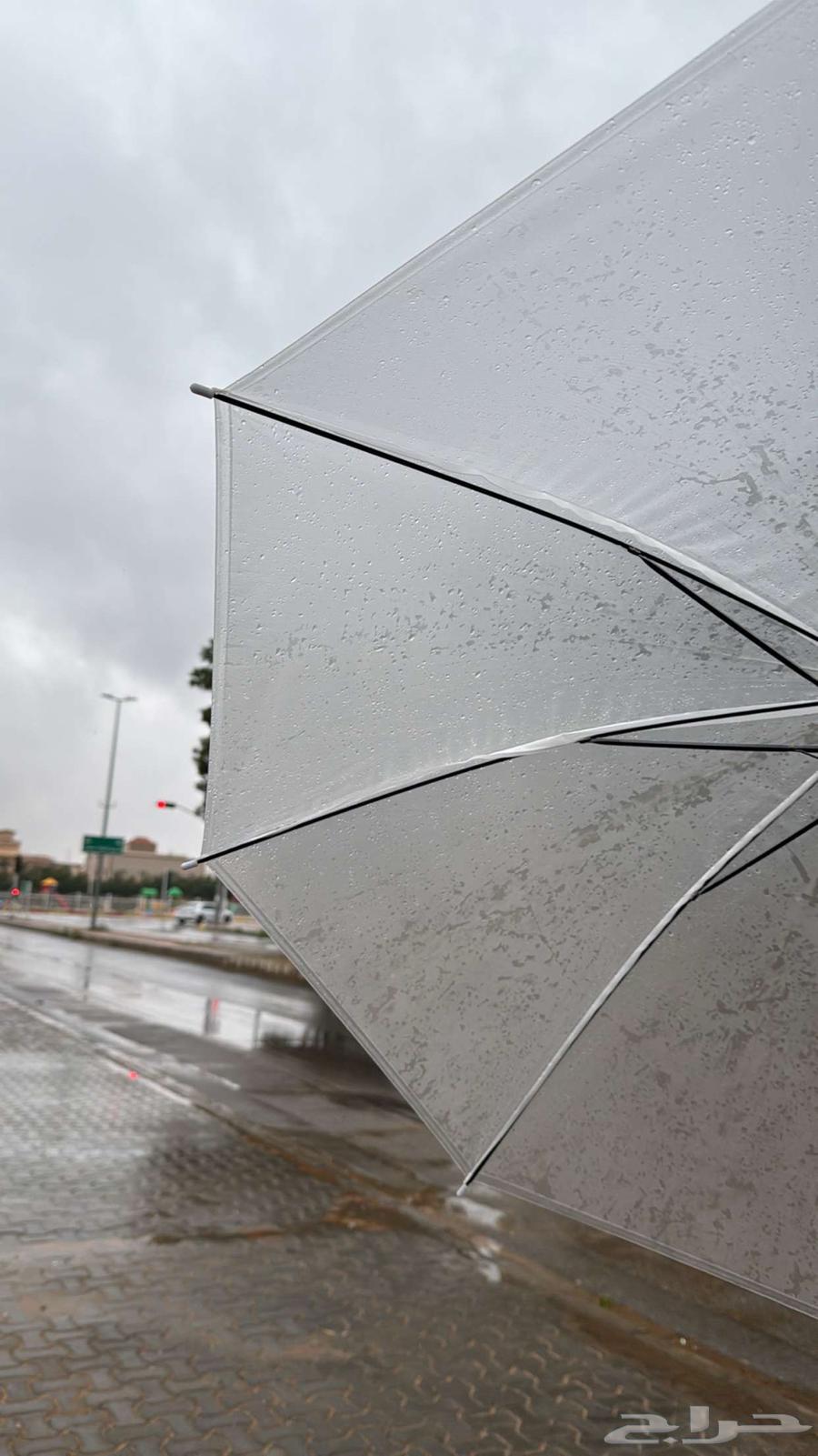 اللي يبي مشوار داخل الرياض ولا خارجها يكلمني64403901608195110