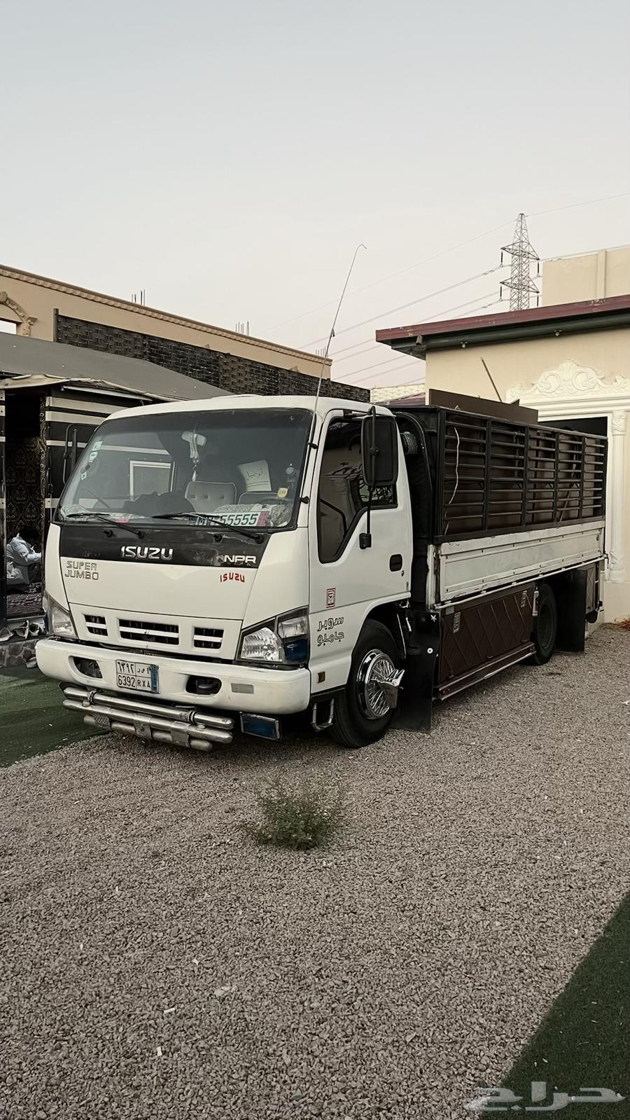 Dina Dina DNA delivery trips within and outside Taif64422879789187110