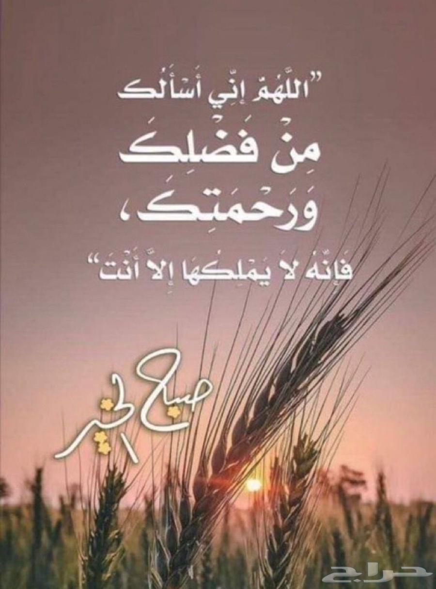 طباخ متنقل بكامل المعاميل64422739312385112