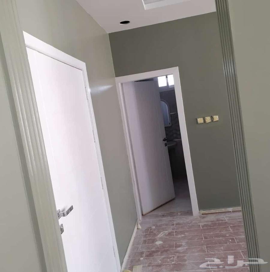 صباغ بويات64422896806146110