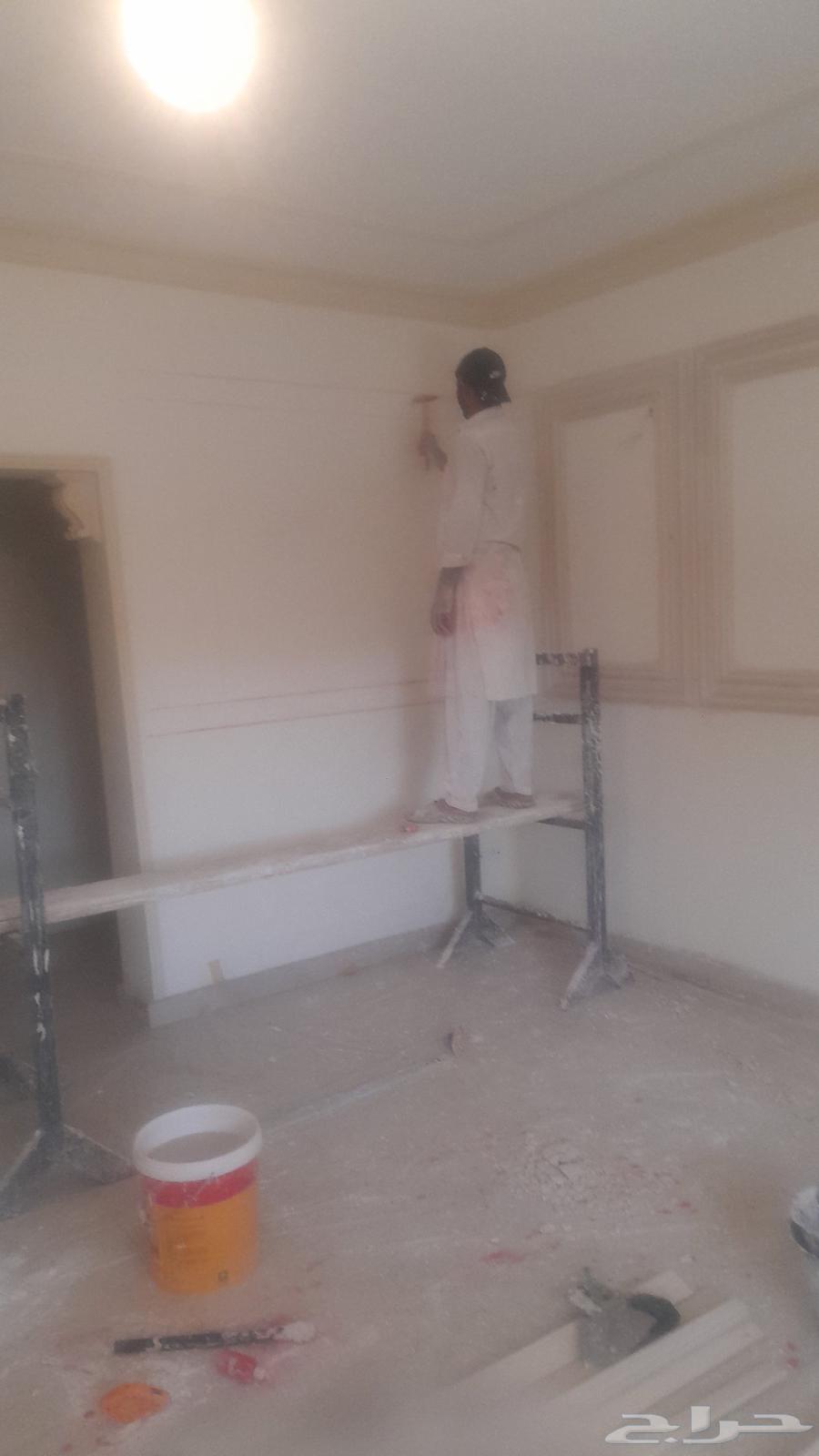مقاول افتخار باكستاني شغل البيت جبس جبسم64422739742337111