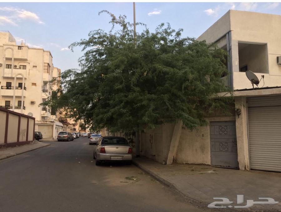 غرفة للإيجار