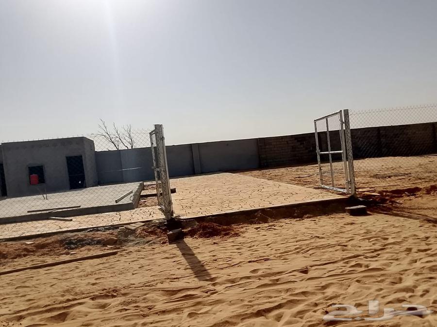 شبوك مزارع شبك شبك64403901342723111