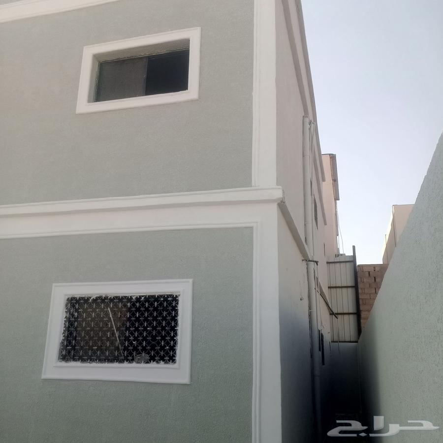 شغل صبغة بويا دهانات دهان ديكورات معلم باكستاني64422755519873111