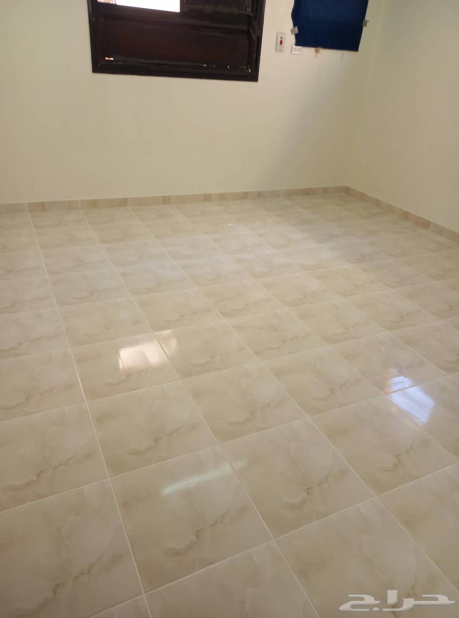 مبلط تبوك لتركيب جميع انواع السيراميك والبرسلين64422848394625113