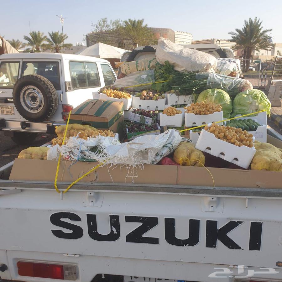 Delivery motorcycle for errands, furniture, and goods within Tabuk mobile64422738777603111