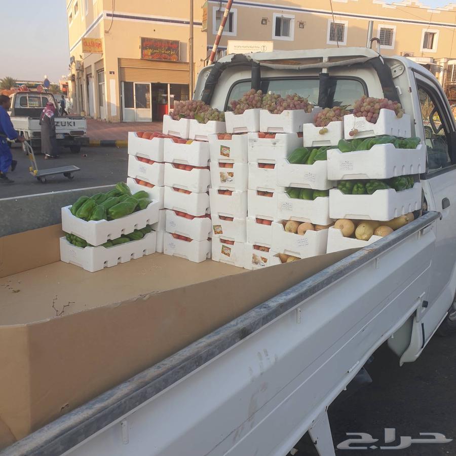 Delivery motorcycle for errands, furniture, and goods within Tabuk mobile64422738777603112