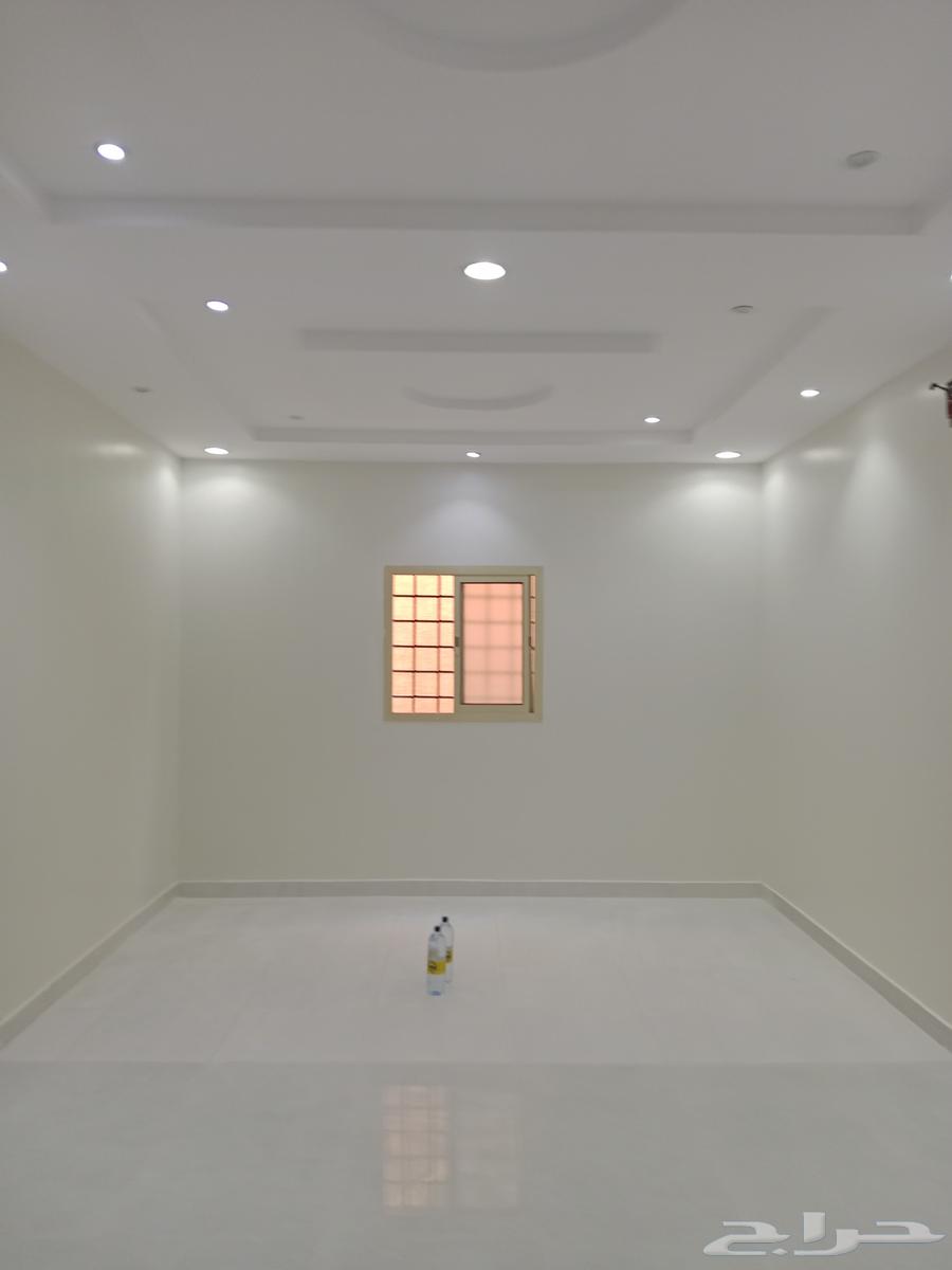 Screen decorations, wood panel alternative, marble alternative, wall paper, and paint64422864053507110