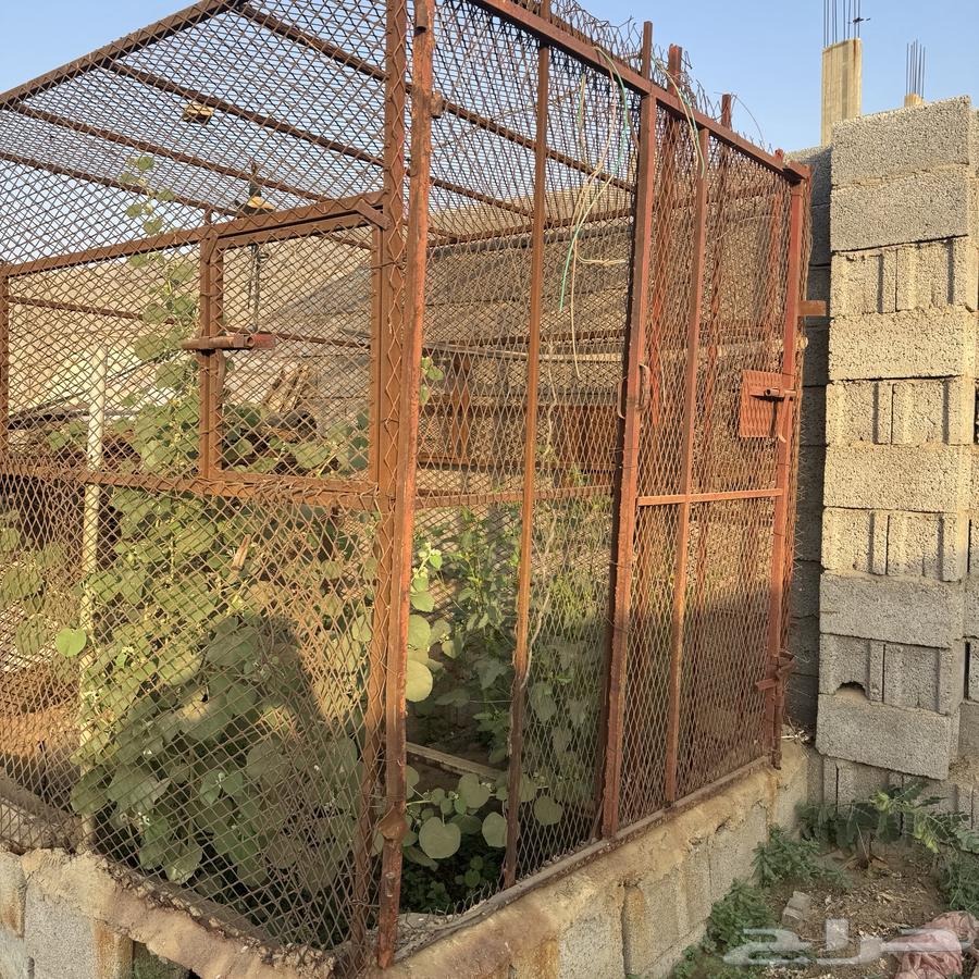 شبك للبيع64403901538307112