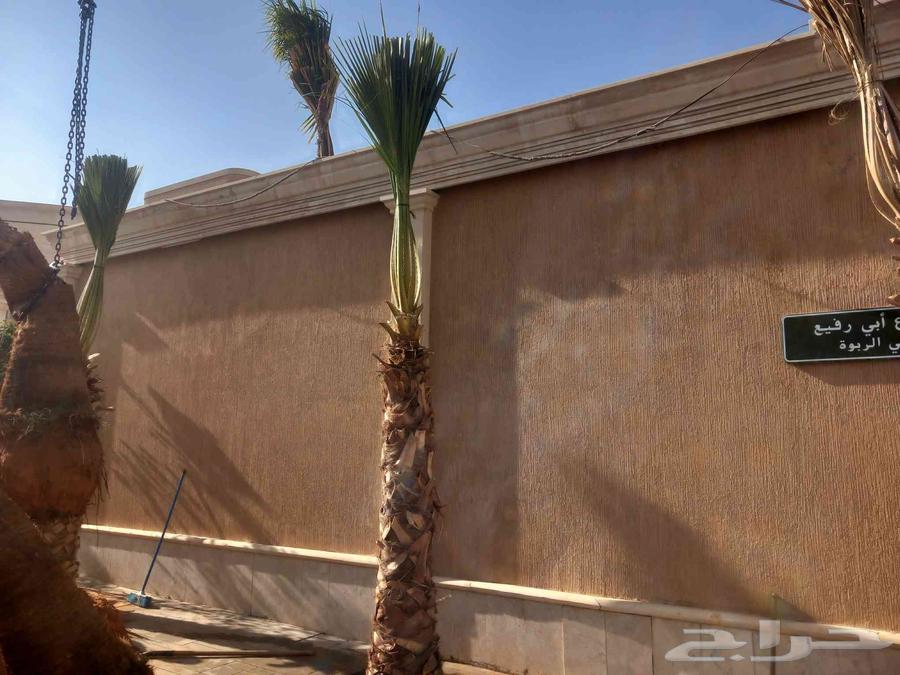 Landscape and irrigation network design by Engineer Abu Al-Hassan, supply and installation64422975309570111