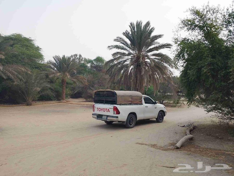 موصل حلال نقل حلال في أنحاء المملكة ابو محمد64403900834306110