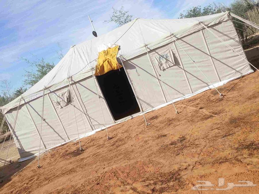 ابو علي لتركيب الخيام وبيوت الشعر داخل وخارج الريا64422896128515110