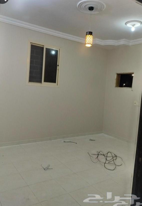 شغل صبغة بويا دهانات دهان ديكورات معلم باكستاني64422755519873113