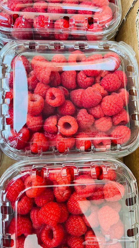 توريد جميع الخضروات من دوله المغرب لكل دول الخليج العربي64422895785473112