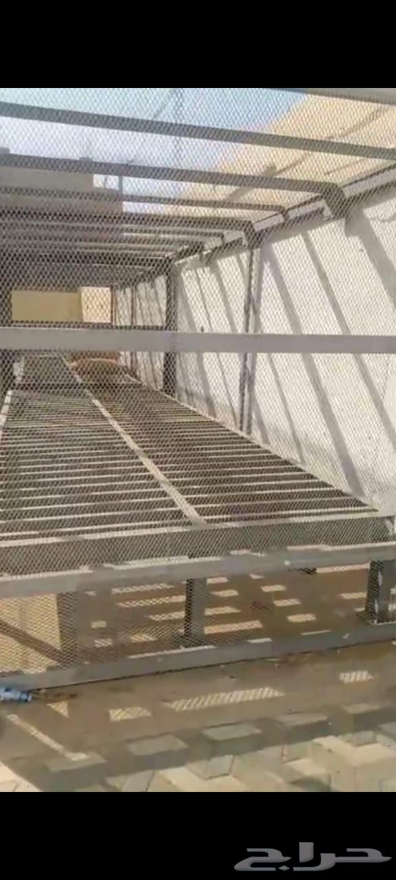 شبوك حمام ودجاج وتصلح لاي شي64422755205763110