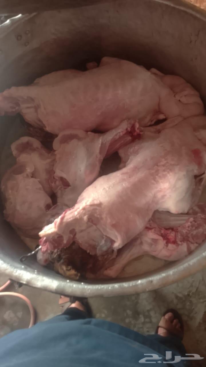 Mobile chef for all types of folk cooking, fully prepared parties64422959278467113