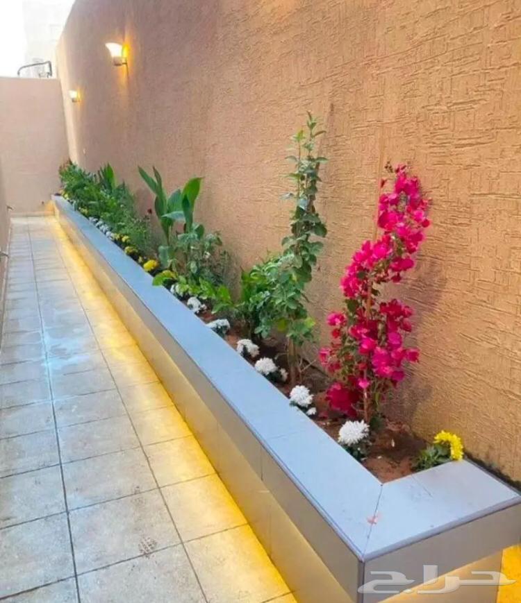 تنسيق الحدائق64422739532035113