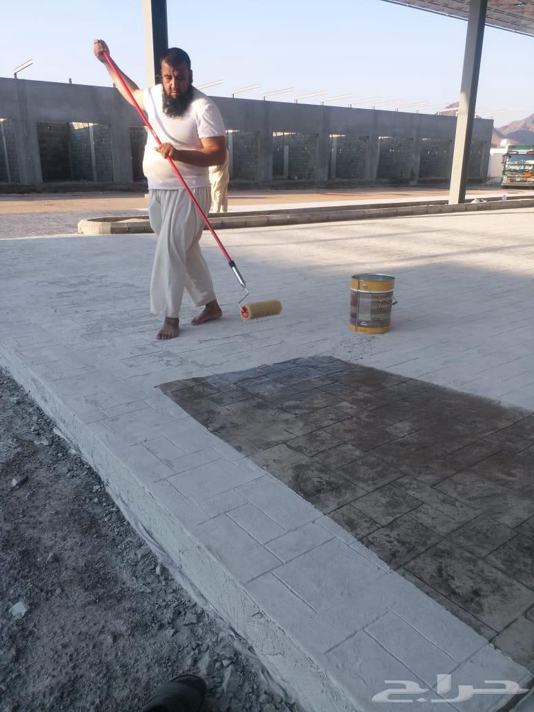 قسم صبيات الريضات جميع انواع صبيات الريضات64422755964802113