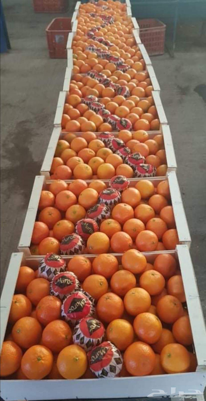 توريد جميع الخضروات من دوله المغرب لكل دول الخليج العربي64422895785473111